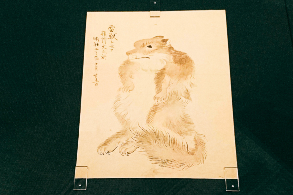 三次もののけミュージアム：かわいいかわいい妖怪展